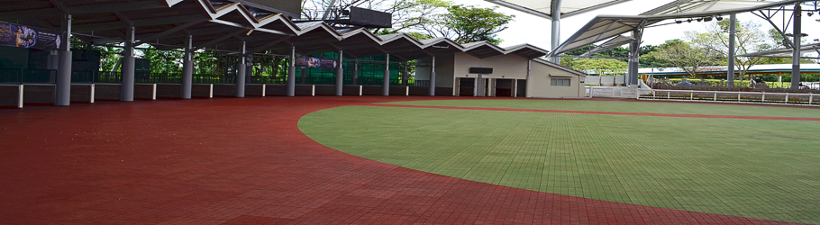 Singapore Turf Club Parade, Singapore - Versatile™ Royal BRT Rubber Tiles